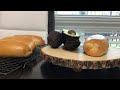 How to make a authentic Haitian bread (pain Ayisyen).