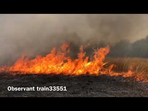 Monmouth battlefield live burn