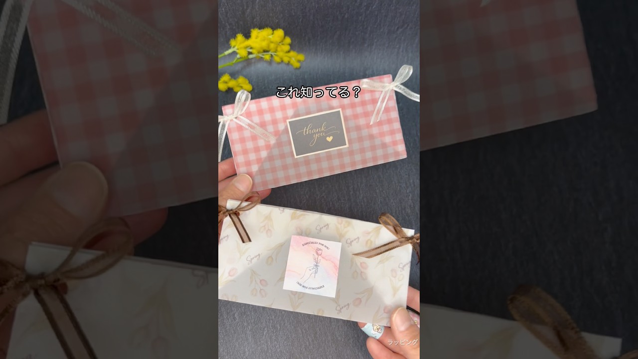 @gift_wrapping_hitoka 〈A4サイズ１枚〉ペンケース型ラッピングバッグ🎁