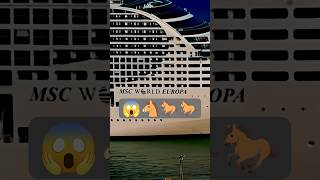 🚢MSC CRUISELINE | SHIP RUNNING LIKE HORSE