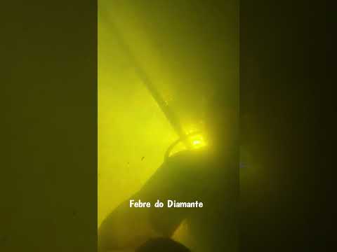 Febre do Diamante em Coromandel MG