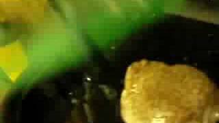 Insane Sounding Frog