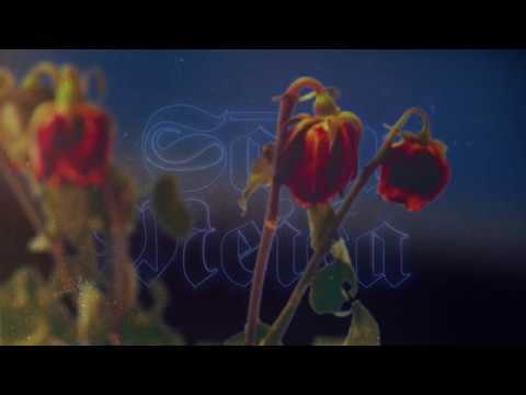 Teacha & xantikvariāts - Sānu Meiča