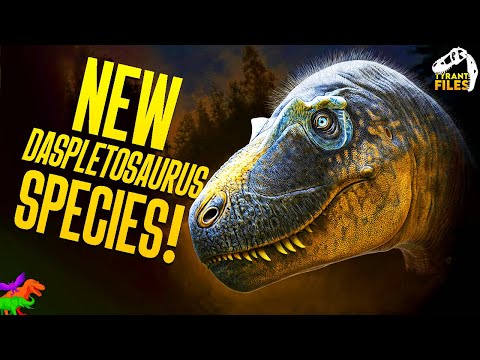 Neue Tyrannosaurus-Art! Lernen Sie Daspletosaurus wilsoni kennen – einen neuen Vorfahren des T. r...