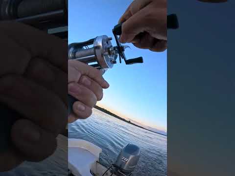 ¡Trolling en Puerto Yeruá y tremendo DORADAZO! 🔥🐟 #señuelos #lineadepesca #fishing #pesca #rios