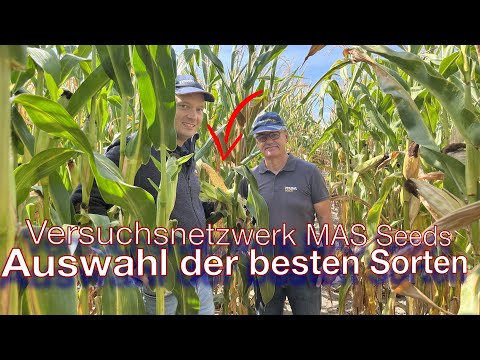 Frag Dr. Schröder - Versuchsnetzwerk MAS Seeds