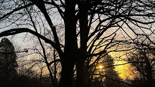 Shadow Work – Why?