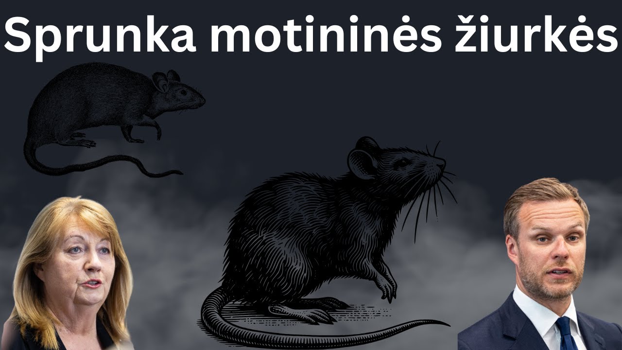 Sprunka motininės žiurkės