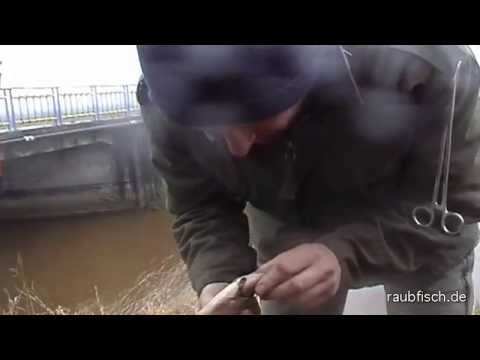 Pike fishing with Matze Koch