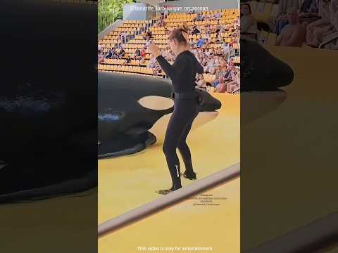 Dolphin viral video 🤣 #funny #funnyvideo