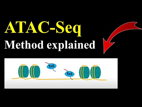 ATAC Seq (ATAC sequencing)