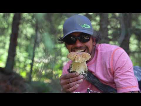 ORVIS Presents: Catching Moments