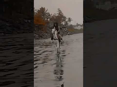 Mumbai nalasopara beach 🏖️ ghode ka race #shortsfeed #khwahishji_12