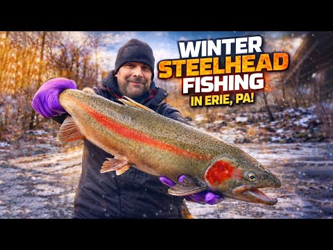 STEELHEAD FISHING IN ERIE PA | WINTER STEELHEAD