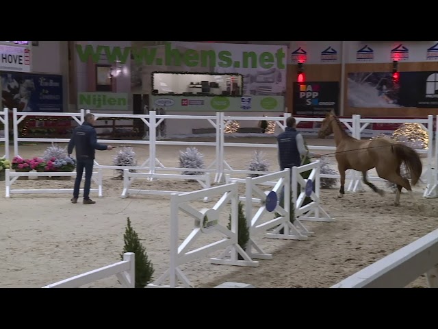 Cleo van't Prinsenveld Z