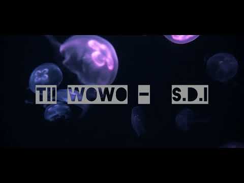 TII WOWO - S.D.I