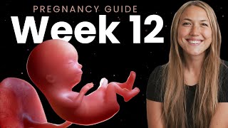 12 Weeks Pregnant | Week By Week Pregnancy