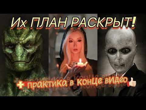 ИХ ПЛАН РАСКРЫТ ! АЛГОРИТМЫ НЕ ПОДЧИНЕНИЯ СИСТЕМЕ И РЕПТИЛИЯМ . Валерия Лукьянова