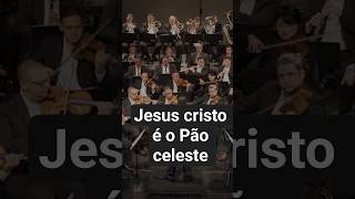Hino 408- Jesus Cristo É O Pão celeste. ( Santa ceia) #hinosccborquestrado #santaceia #shortsccb