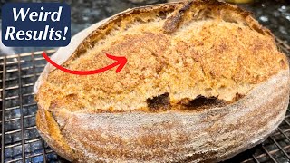 SKIP BULK FERMENTATION for sourdough bread?