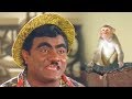 Babu Mohan And Monkey Funny Comedy Scene Mayalodu Movie Latest Telugu Comedy Scenes TFC Comedy
