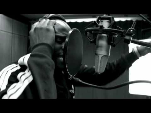 Soulfire HiFi - Rebellious Lion Special