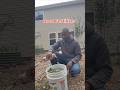 The Secret Garden Fertilizer Pro Growers Won't Share