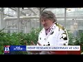 Hemp Research Underway at USU