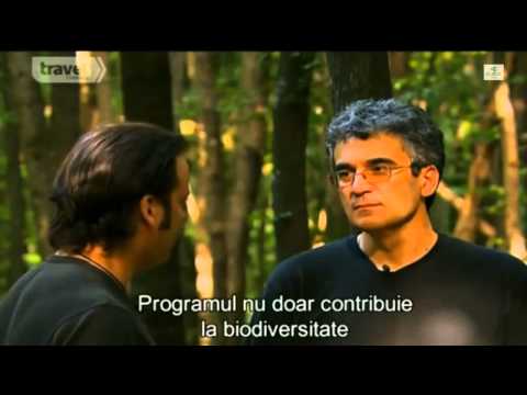 Pensiuni De Lux - Cazat.ro