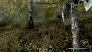 Into the Woods - Let's Play Skyrim Part 25