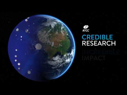 Building a Zika Virus Vaccine Webinar