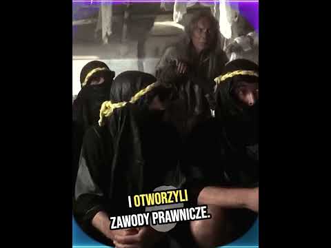 CO ZROBIŁ PIS - MONTY PYTHON