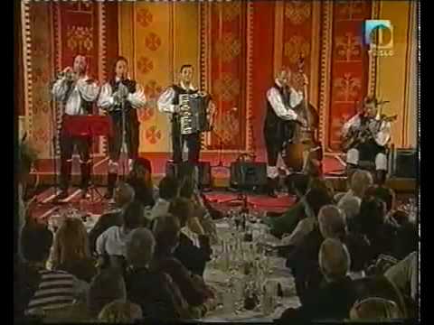 Gregorji in Robi Zupan - Martinova polka