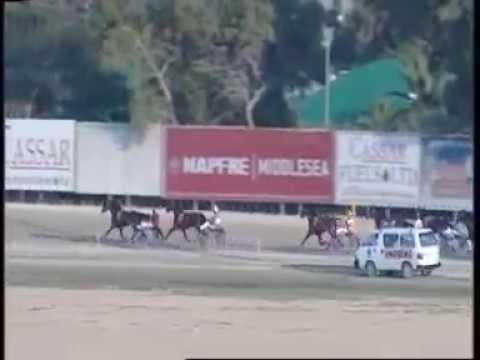 www kennethvella.com Meeting (32) Date 3-7-2015 Race 1,2,3,4,5,6,7,8,9,10