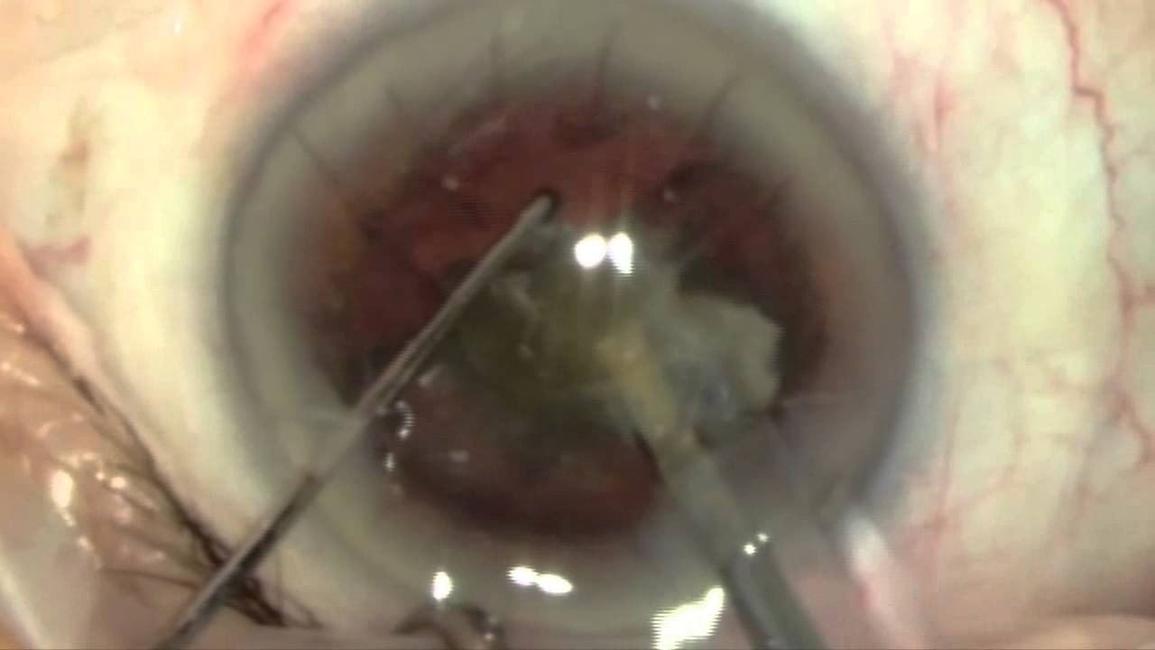 Alessandro Sammartino-6