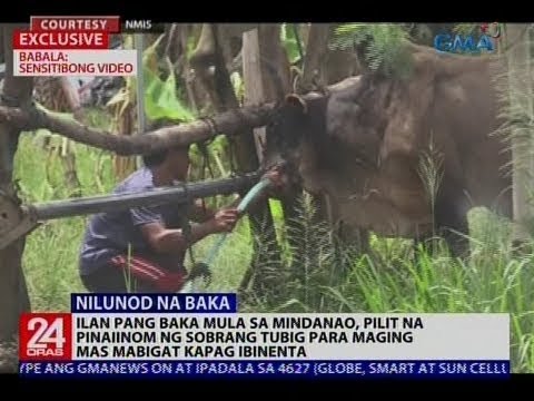 Kung paano upang mawala ang timbang sa 47 taon sa bahay Ng sa pagbaba ng timbang