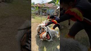 Download lagu QURBAN CAN MACANAN 2023 mp3