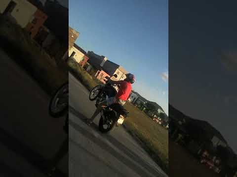 Sandyel no gral salve so progresso mc chimbinha