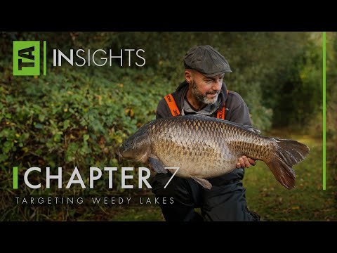 Targeting Weedy Lakes | TA|Insights | Adam Penning | Carp Fishing