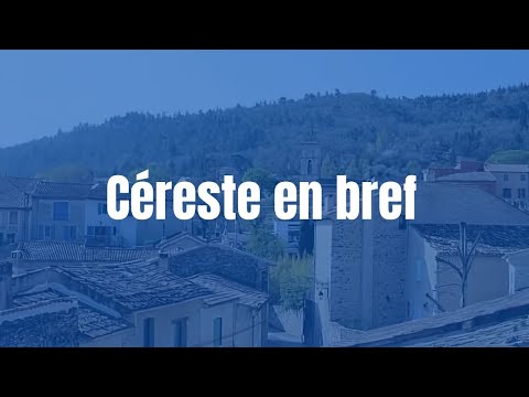 Video vignette