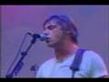 Paul Weller Live - Brushed