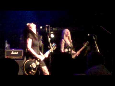 Civet Supporting Street Dogs Live O2 Islington