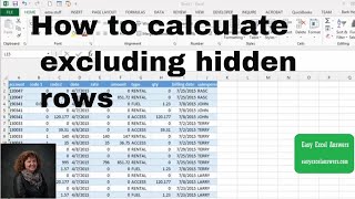 How to calculate excluding hidden rows in Excel