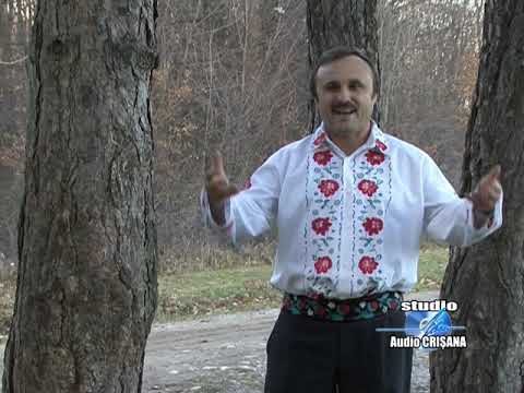 DORUTU BERDEA - Azi i mare sarbatoare