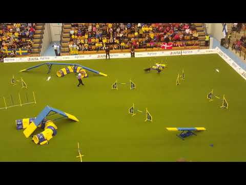 CHED Daria Skrypytsia Large Agility AWC 2018