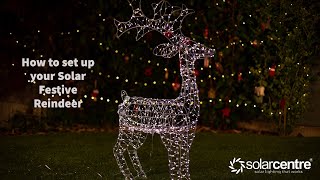 Unboxing and setting up the Large Reindeer! Lumify Warm White & White USB Solar Christmas Lights