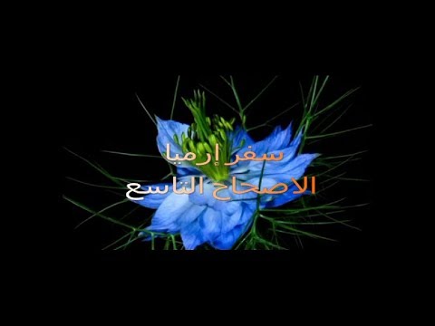إرميا 9