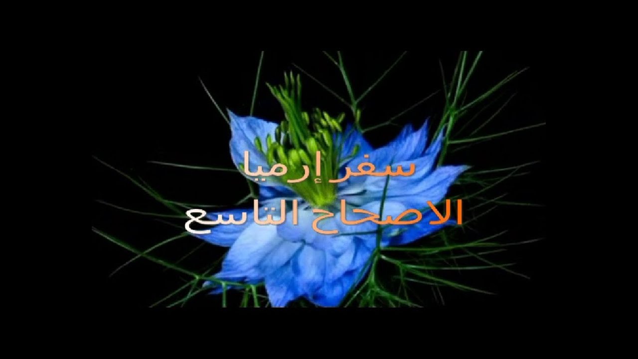 فيديو تفسير الكتاب المقدس | الكتاب المقدس رفيقي