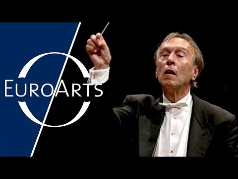 Mahler - Symphony No. 5 in C sharp minor | Discovering Masterpieces of Classical Music (HD): Abbado