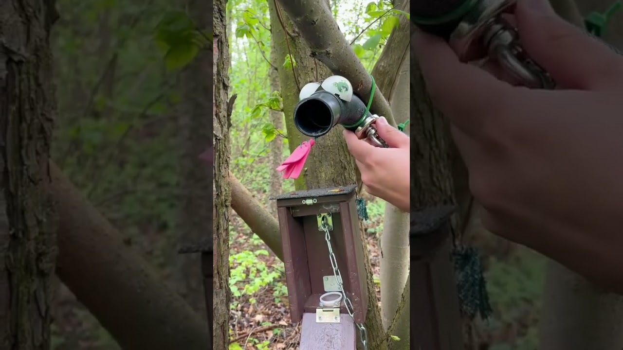 🐍 Not every geocache is tricky to find… 🐍